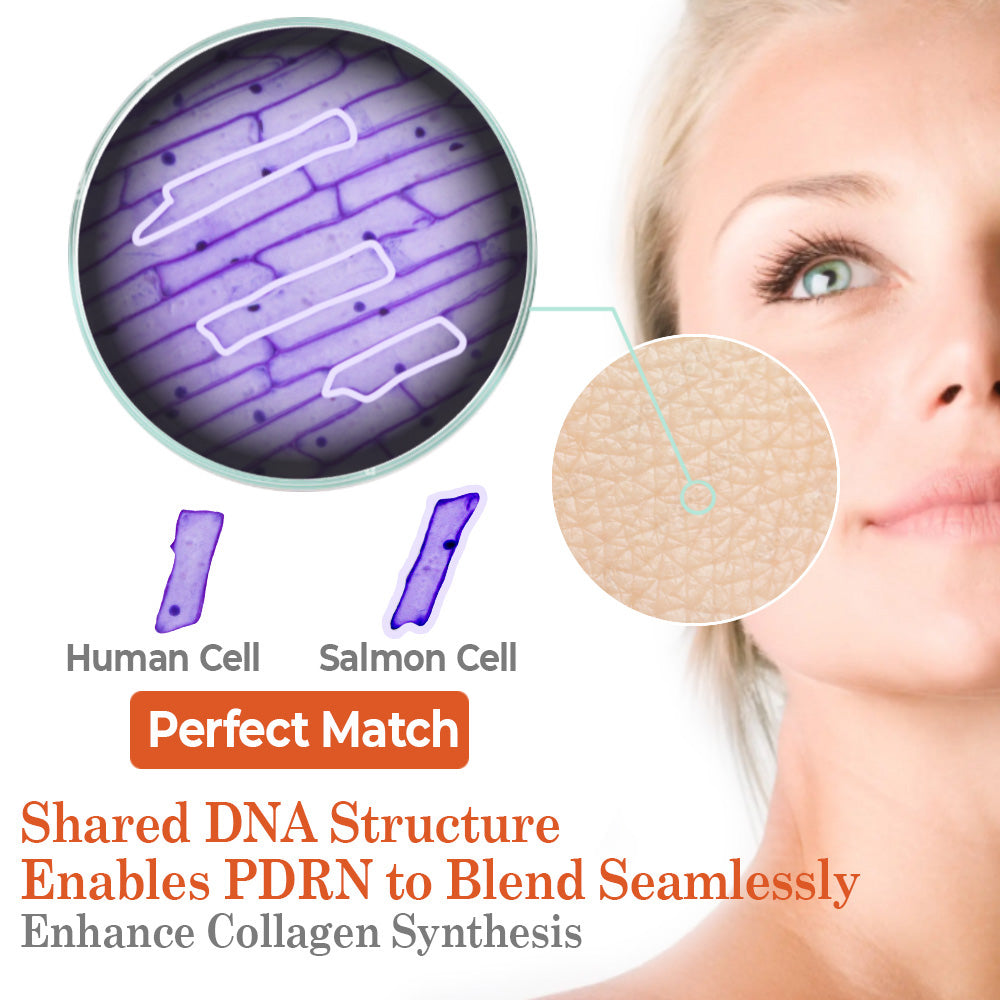 flysmus™ BioRegen PDRN Lachs-DNA-Ampulle