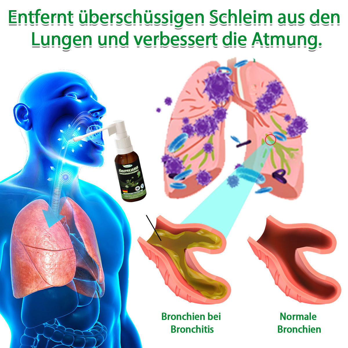 👨‍⚕️Ourlyard™ Eukalyptusöl Atemberuhigungsspray (💝 Vom Lungenfacharzt empfohlen 💝)