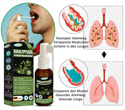 👨‍⚕️Ourlyard™ Eukalyptusöl Atemberuhigungsspray (💝 Vom Lungenfacharzt empfohlen 💝)