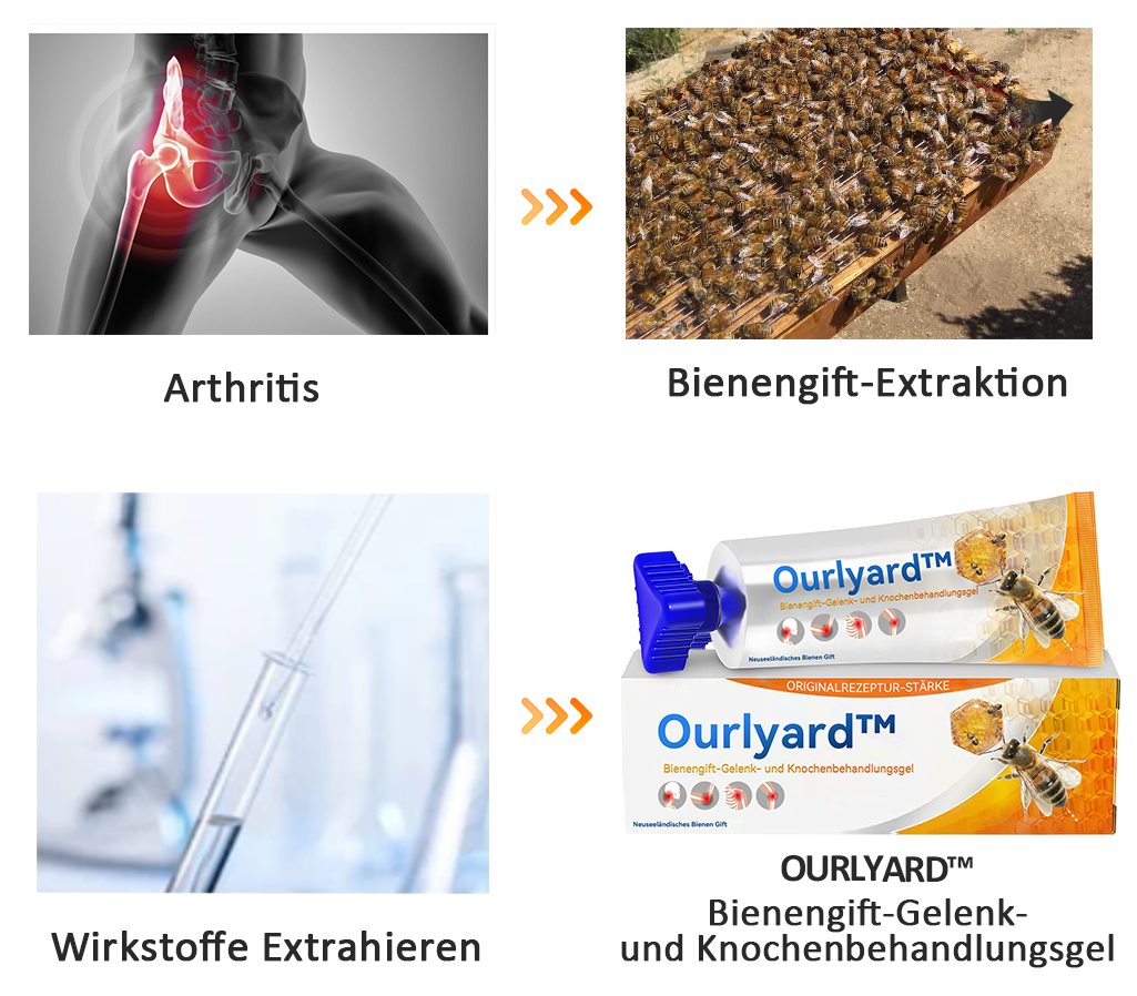 Ourlyard™ Bienengift-Gelenk- und Knochenbehandlungsgel (Ganzkörperregeneration)