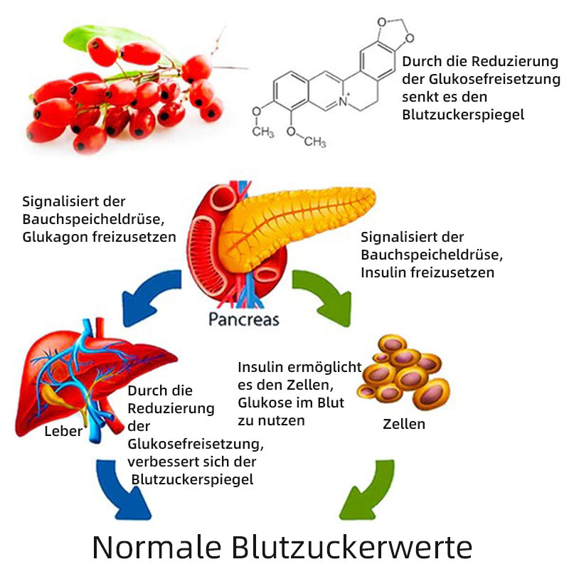 🔥Furzero™ SugarSync Gesundheit Kontrolle Aerosolizer